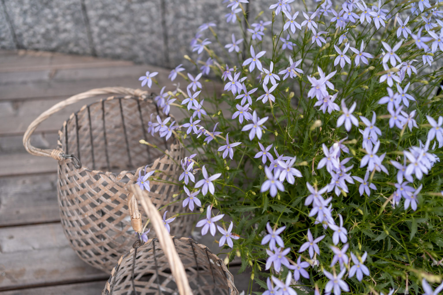 Willkommen Schlegelhof