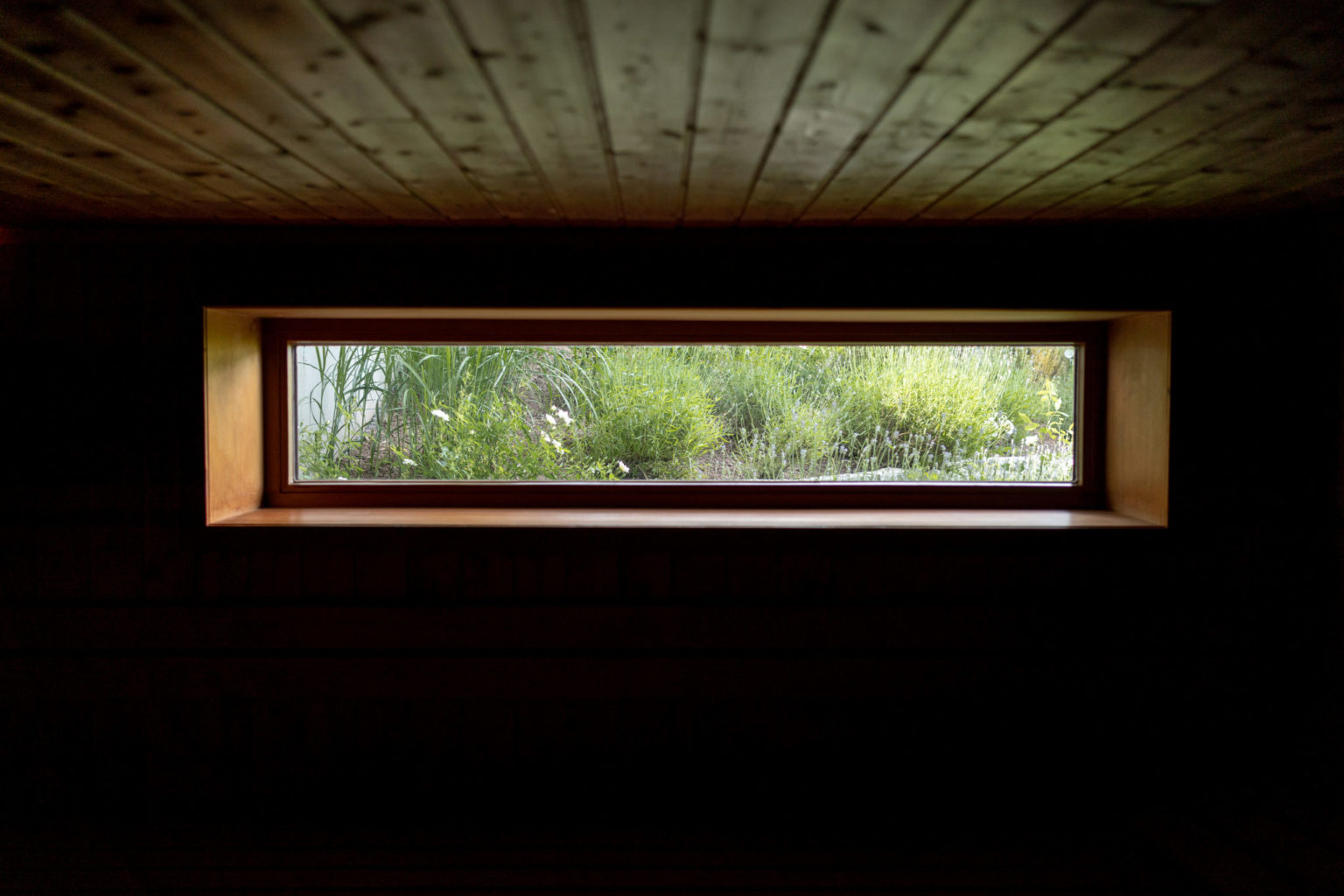 Ein schmales rechteckiges Fenster in einer Holzwand gibt den Blick auf üppige grüne Pflanzen und Grasflächen frei, die im Kontrast zum dunklen Innenraum stehen.